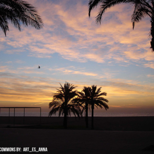 Mataró