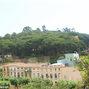 Caldetas