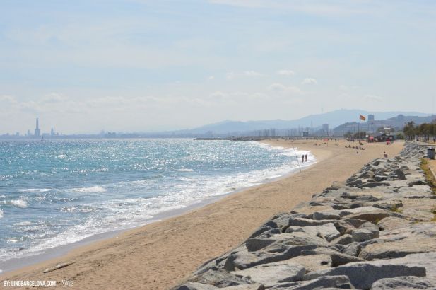 El Masnou